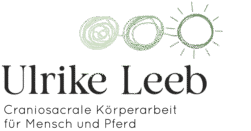 Cranio Sacrale Behandlung in Asten bei Ulrike Leeb